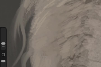 draw custom digital pet portrait from your photo