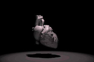 create a realistic 3d model