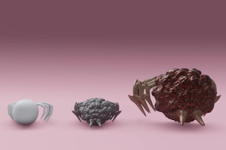do clean uv mapping and topology optimization for 3d models