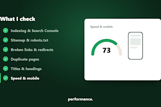 do a technical SEO audit for your wordpress website