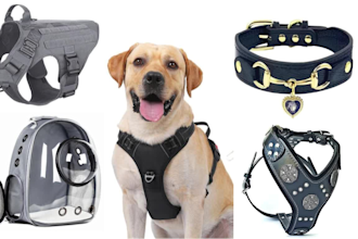 do dog harness, pet clothing, pet accessories, pet product tech pack, leash