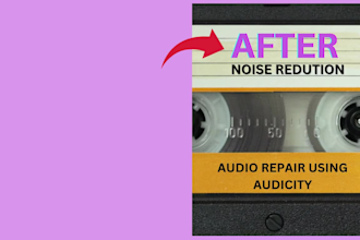 remove audio and video noise and repair it professionally