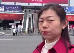 be your live chinese and english interpreter and translator
