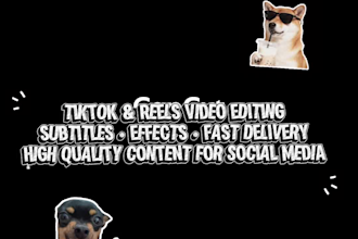 tiktok and instagram reels video editor