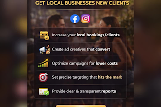 run facebook and instagram ads for local business