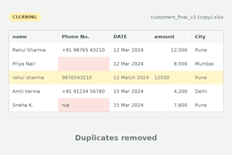 clean, format, and organize your excel data