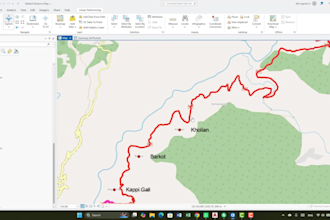 do professional gis analysis, mapping, and data visualization services