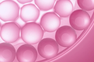 make a cinematic ai product demo video using sora 2 and seedance