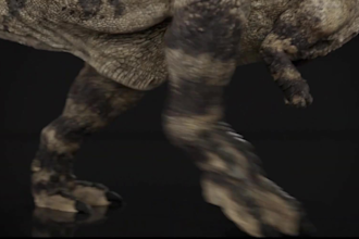 create realistic 3d animal animation 3d animal rigging, xgen animal hair and fur