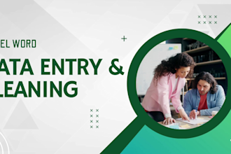 data entry, data cleaning, formatting and excel dashboard