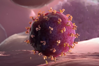 create 3d medical moa animation virology viral vector and cell mechanism video