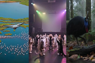 create ai generated video ads and commercials for your brand