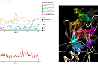 perform molecular dynamics simulation for you