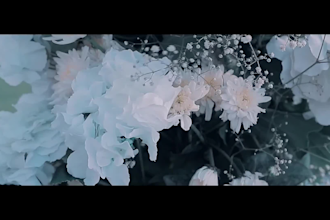 cinematic wedding video editing and wedding highlight