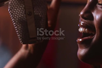 be songwriter, singer, female singer, female rock singer for all genre