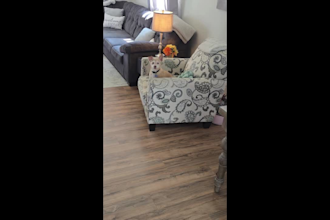 create a video with my dog for any dog products or services