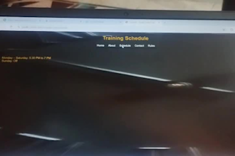 develop a professional python flask website and automate your data
