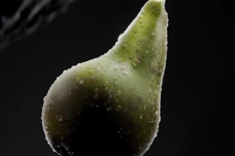 create 3d perfume animation 3d product video and 3d bottle design cgi ads