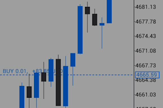 mentor you in gold