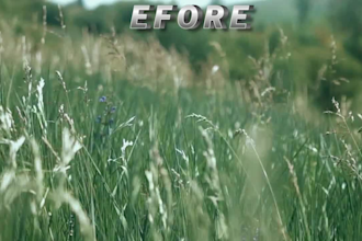 professionally color grade your videos