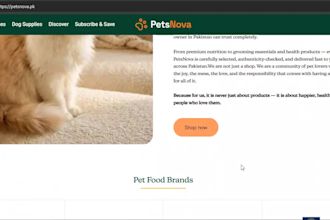 design a modern shopify pet store website or ecommerce store