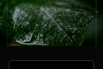 creat premium fiber fiberglass design promotion videos