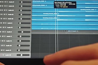 mix the audio to your project
