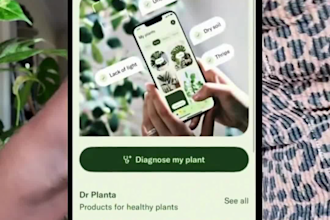 create ugc videos for tiktok ads or social media content