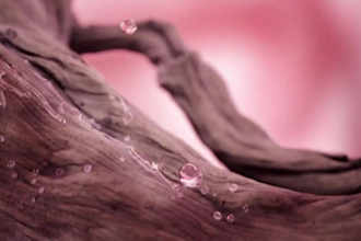animation vidéo produit 3d, animation cgi industrielle, modélisation 3d et rendu