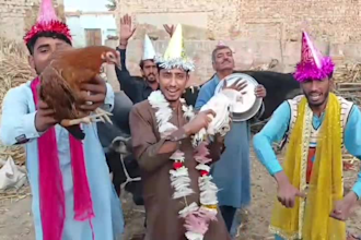 wish happy birthday video