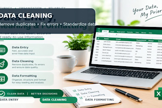 do data entry and excel work