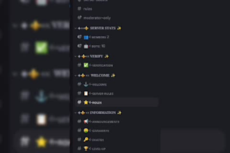 setup a professional custom discord server