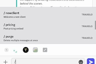 setup a professional discord server with bots and moderation