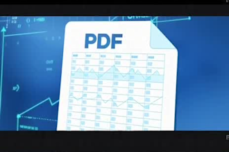 do excel data entry, vlookup, formulas and dashboard