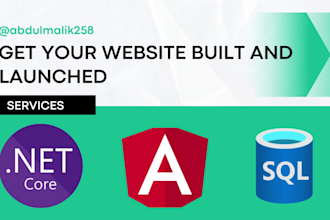 build your website using dot net angular and sql server
