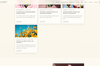 develop a custom website