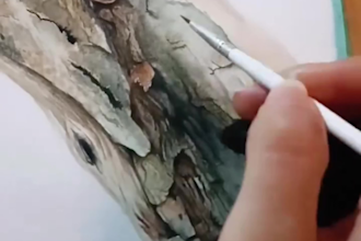 create stunning realistic wildlife illustrations