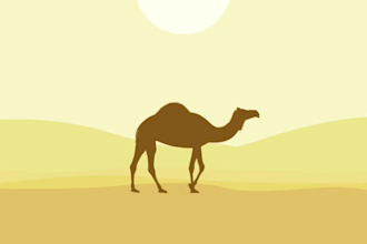 create custom 2d logo animation and motion graphics