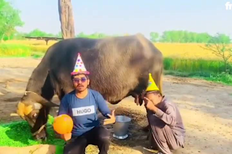 african happy birthday video african happy birthday video