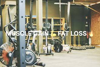 make a professional workout plan for gym training and fitness goals