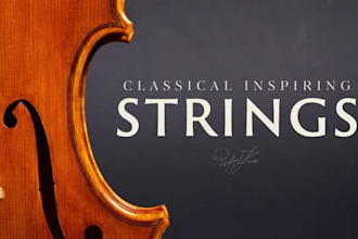 make the recording of the violin part, improvisation, strings arrangement,