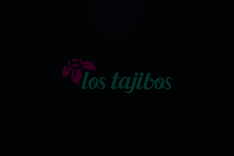 do high quality 4k logo animation, youtube intro, or outro video