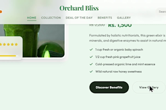 build a modern responsive landing page or fronted website