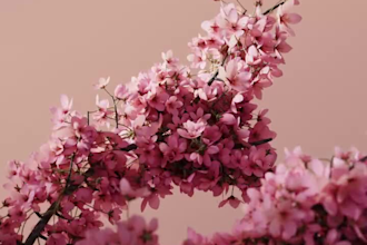 do 3d plant animation, 3d flower animation, 3d flower model, flower animation