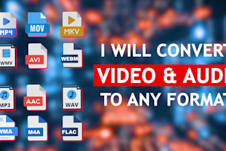convert videos and audios within 24hours