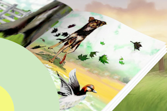 create an amazon book trailer promotional video with page flip