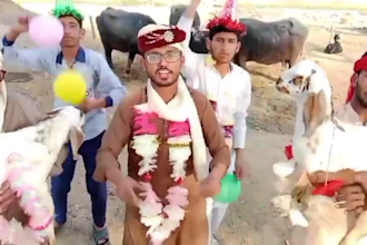 african happy birthday video african happy birthday video
