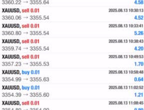 develop automated algo trading quant trading bot, quant bot, quant automation