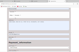 create a modern responsive payment form website