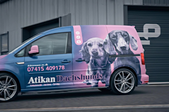 design professional custom van wrap, car wrap and vehicle branding design